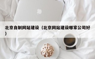 滦南北京自制网站建设（北京网站建设哪家公司好）